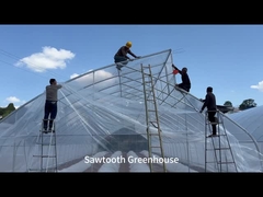 Instalación de película de plástico en invernaderos de dientes de sierra