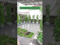 Torres de cultivo hidropónico de pétalos de cultivo interior para jardín