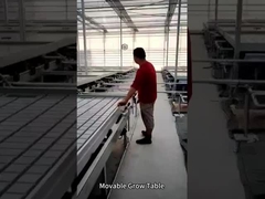 Banco rodante de mesa de cultivo de flujo y reflujo móvil