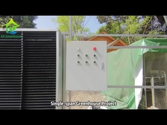 AX Greenhouse Proyecto de invernadero de un solo tramo con punta de melocotón