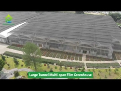 Proyecto comercial de invernaderos de película grande de varias extensiones
