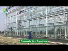 Proyecto de Invernadero AX--Invernadero Comercial de Vidrio