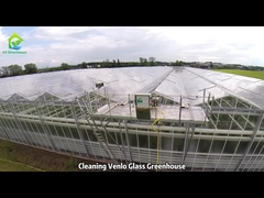 Limpieza del Invernadero de Vidrio de Venlo