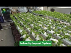 Sistema de tuberías cuadradas hidropónicas NFT de cultivo sin suelo de cultivo vertical
