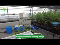 Jardinera colgante para plantar fresas, ahorra espacio
