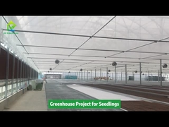 Proyecto de invernadero Poly Tunnel para plántulas