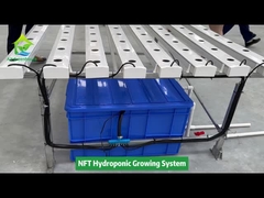 Sistema de tubo cuadrado NFT hidropónico de cultivo sin suelo para cultivo vertical