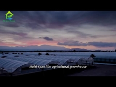 Gran invernadero agrícola de película de múltiples tramos