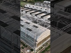 Invernadero fotovoltaico solar de múltiples tramos con panel de policarbonato Venlo inteligente moderno