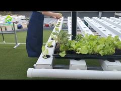 Sistema de cultivo hidropónico de NFT