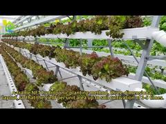 Cultivo hidropónico sin suelo NFT, solución nutritiva de PVC multicapa en forma de A, plantación de hortalizas