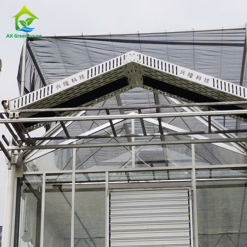 Estructura de acero galvanizado y sumergido en caliente, moldeo de techos triangulares, 30*20m, invernadero automático comercial personalizado, invernadero de vidrio Venlo