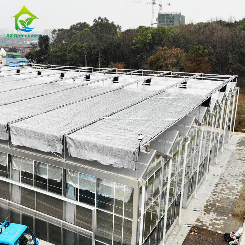 Estructura de acero galvanizado y sumergido en caliente, moldeo de techos triangulares, 30*20m, invernadero automático comercial personalizado, invernadero de vidrio Venlo