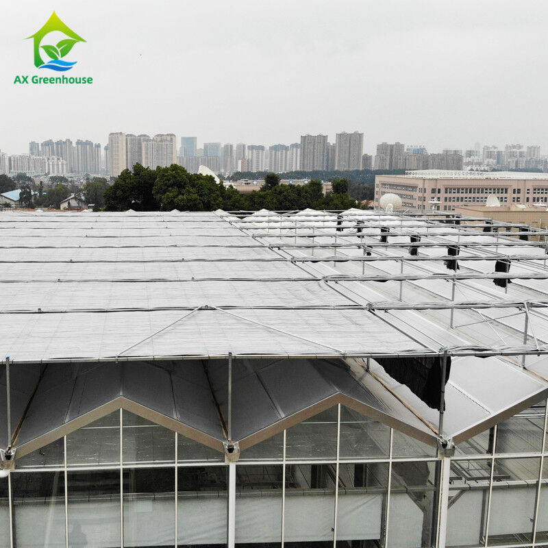 Estructura de acero galvanizado y sumergido en caliente, moldeo de techos triangulares, 30*20m, invernadero automático comercial personalizado, invernadero de vidrio Venlo