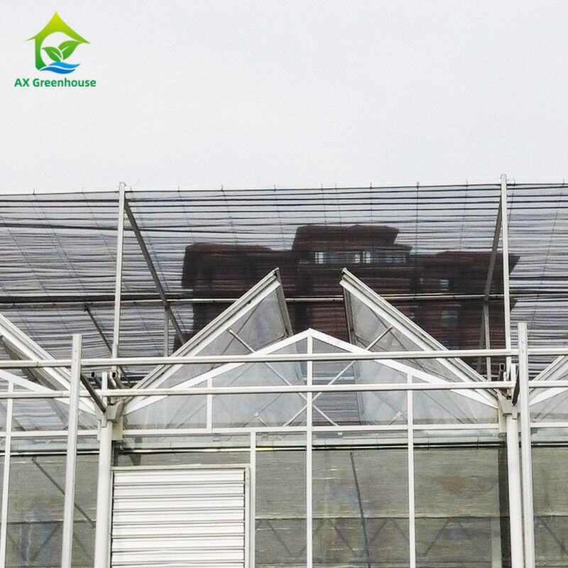 9.6m/10.8m/12m ancho marco de aleación de aluminio vidrio agrícola venlo invernadero de múltiples tramos con moldeo de techo triangular