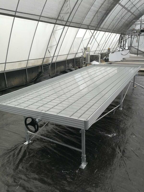 Invernadero Ebb Flujo de siembra de banco rodante Tablas de cultivo para el cultivo de varios tipos de plantas