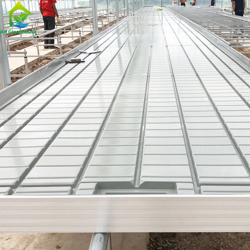 Invernadero Ebb Flujo de siembra de banco rodante Tablas de cultivo para el cultivo de varios tipos de plantas