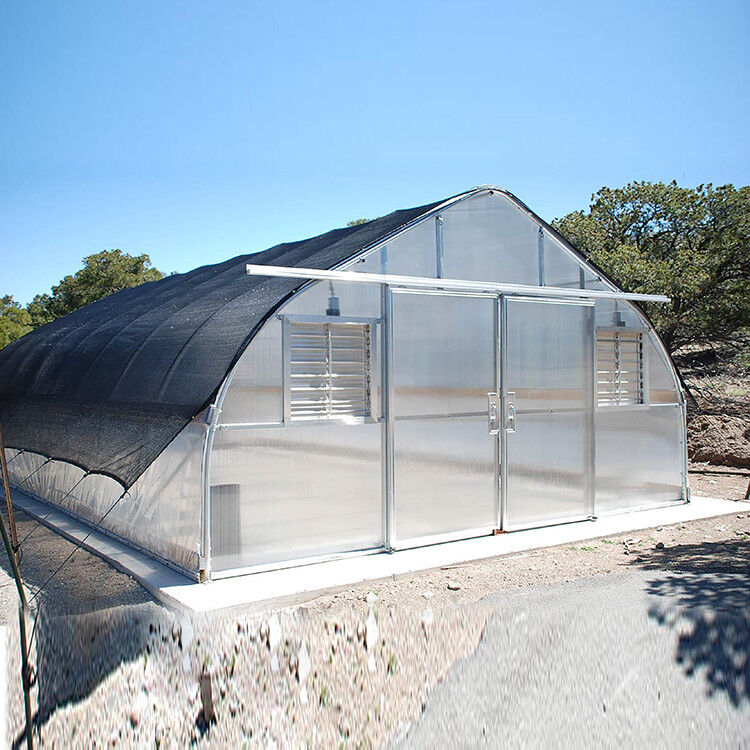 Precio de fábrica Túnel de película de plástico a medida Tienda de cultivo de tomate Invernadero para la agricultura