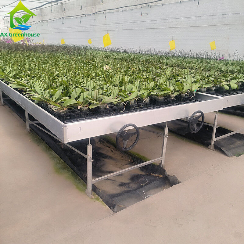 Tabla de rodadura hidropónica móvil para plantas en invernadero