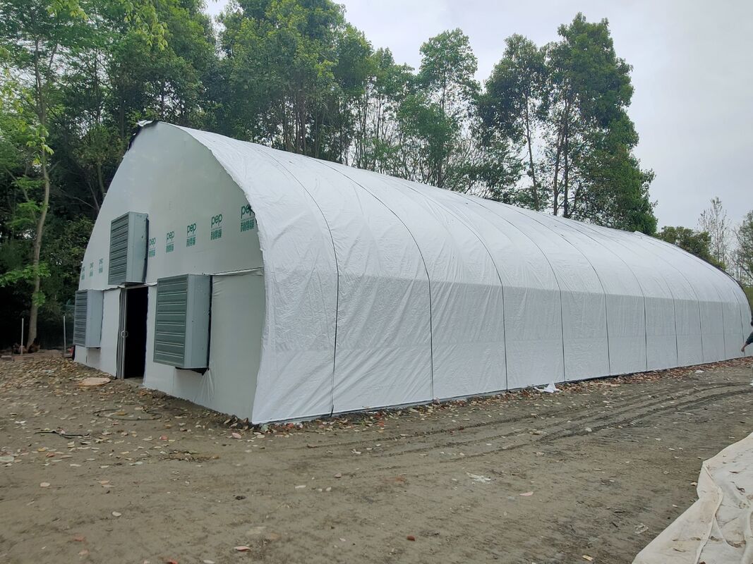 Precio de fábrica Túnel de película de plástico a medida Tienda de cultivo de tomate Invernadero para la agricultura