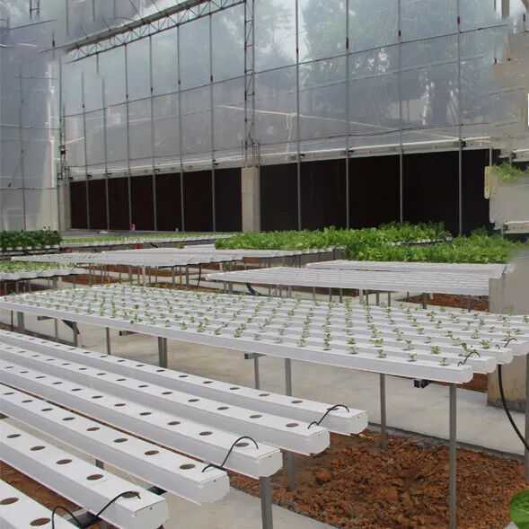 Agricultura en interiores sin suelo El cultivo de fresas Tubo de PVC para hidroponía Sistema NFT para la venta