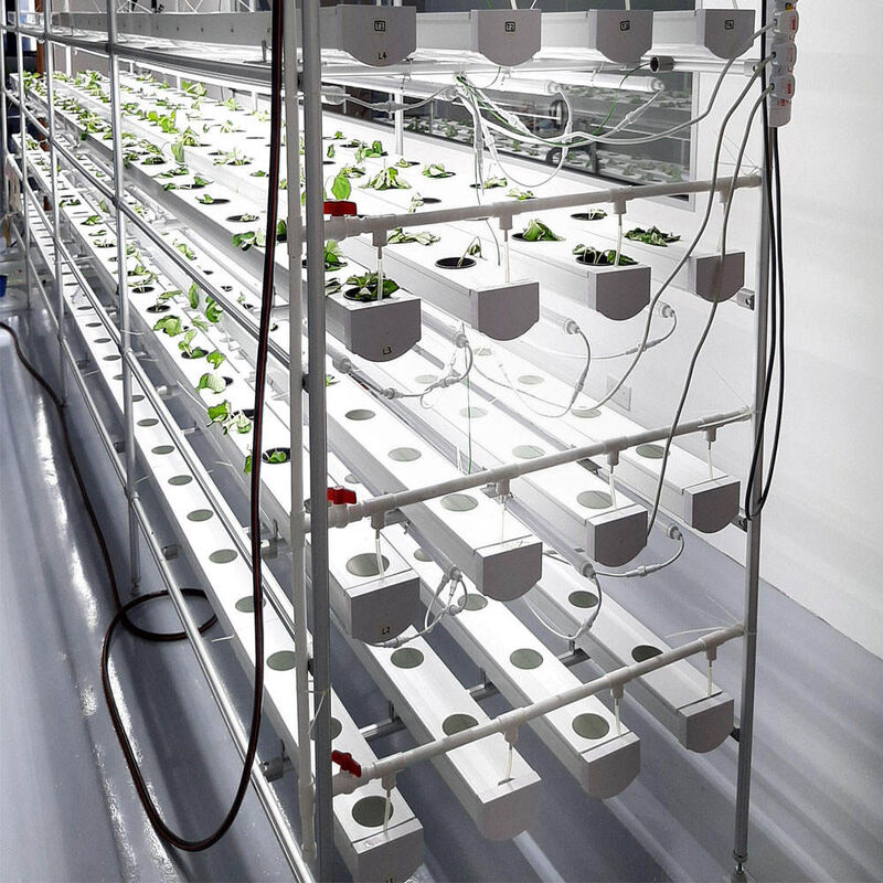 Horticultura Cultivo sin suelo de tubo circular Sistemas de cultivo de canales hidropónicos NFT para el cultivo