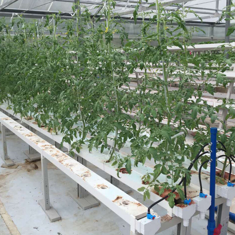 Horticultura Cultivo sin suelo de tubo circular Sistemas de cultivo de canales hidropónicos NFT para el cultivo