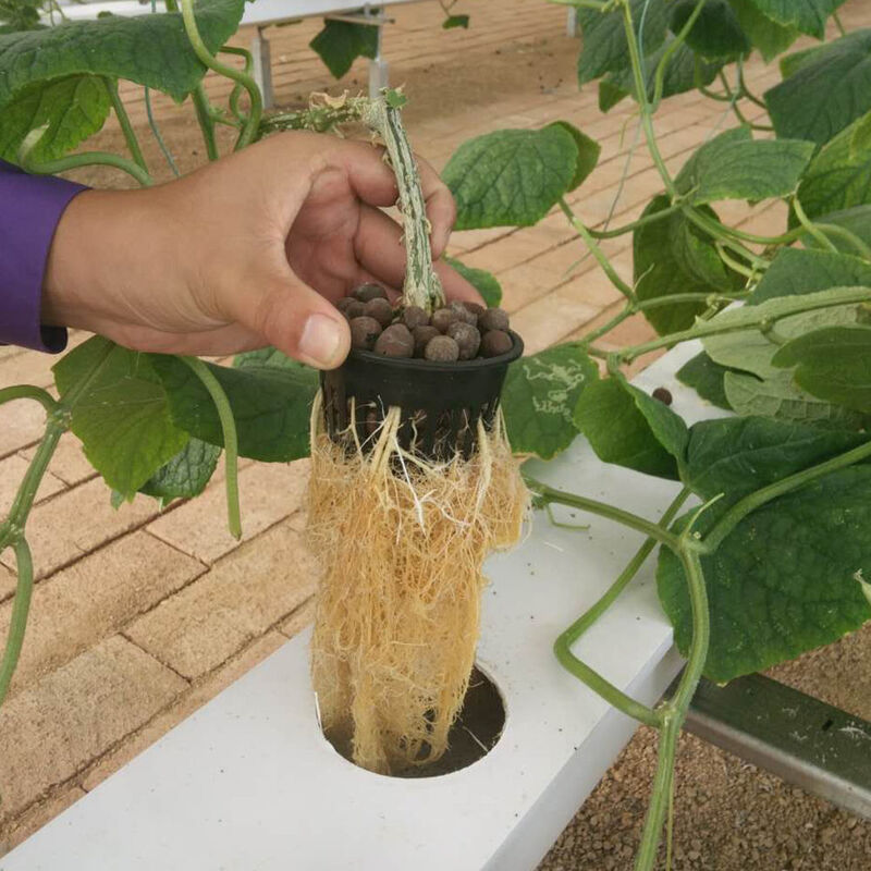 Horticultura Cultivo sin suelo de tubo circular Sistemas de cultivo de canales hidropónicos NFT para el cultivo