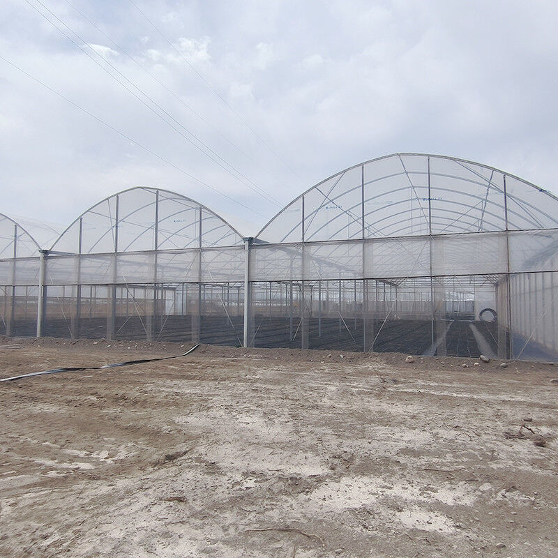 Estructura de acero galvanizado en caliente con película de plástico de múltiples tramos Invernadero personalizado con diseño de dientes de sierra de ventilación tropical