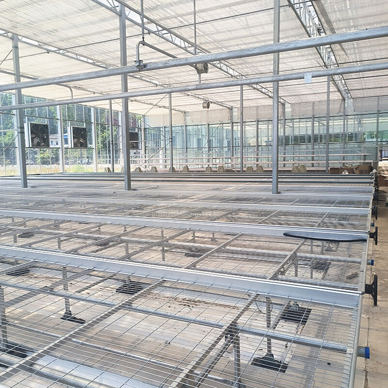 Mesa de cultivo rodante para invernadero personalizada con ventaja de fácil construcción y estructura de acero galvanizado en caliente
