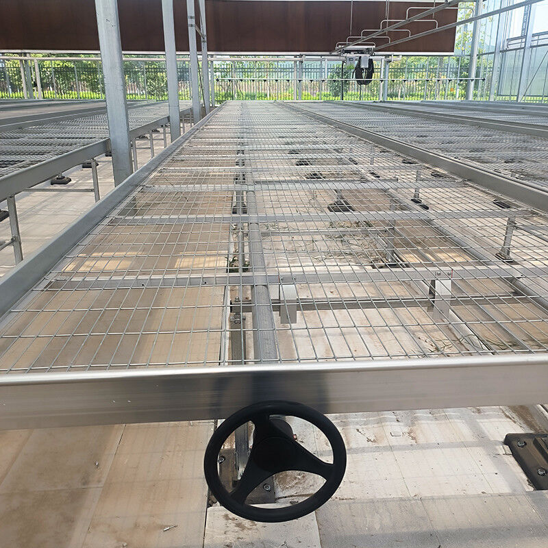 Mesa de cultivo rodante para invernadero personalizada con ventaja de fácil construcción y estructura de acero galvanizado en caliente