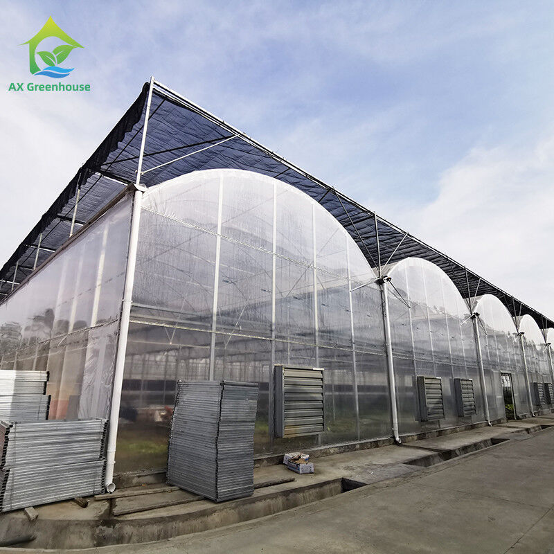 Invernadero de película de plástico resistente a los rayos UV de 30x10m para tomates y verduras con cubierta de película