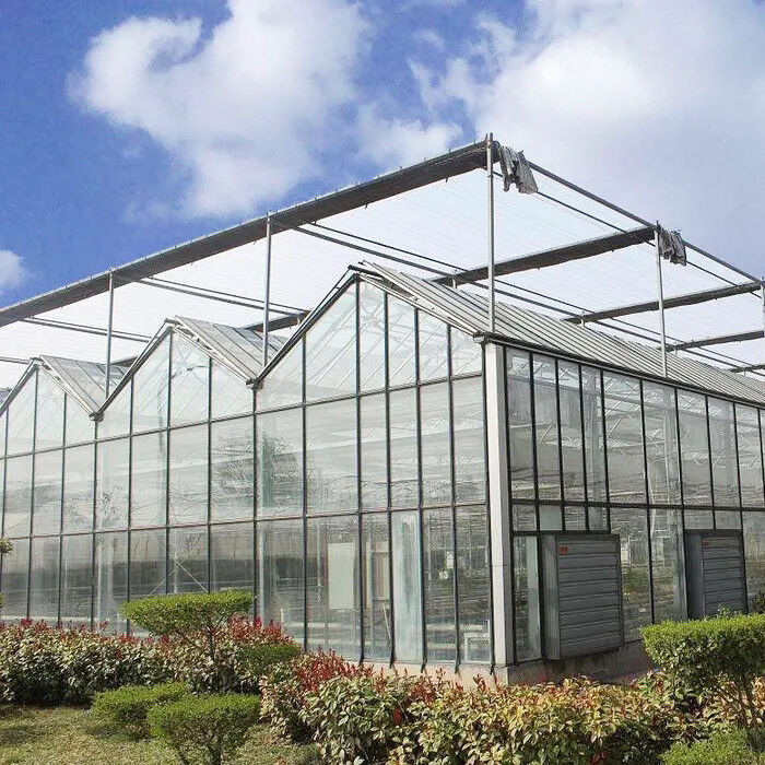 Estructura de acero galvanizado y sumergido en caliente, moldeo de techos triangulares, 30*20m, invernadero automático comercial personalizado, invernadero de vidrio Venlo