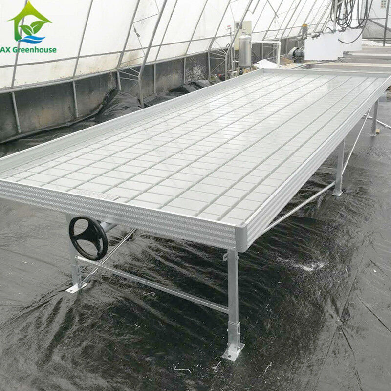 Bancos rodantes de invernadero Tabla de cultivo para semillas de plantas de tomate Sistema de riego de flujo y flujo