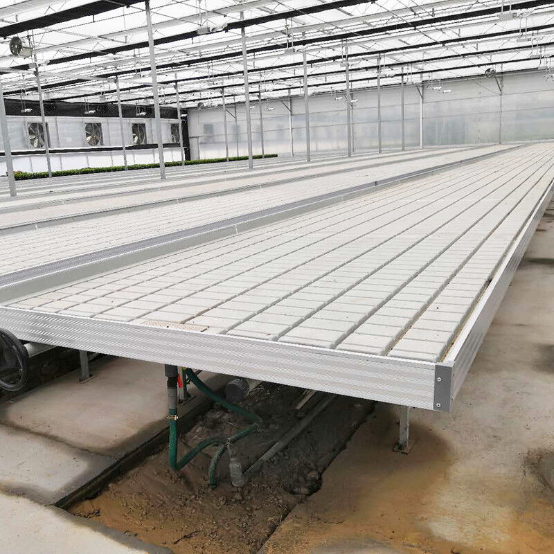 Cultivo sin suelo hidropónico en invernadero