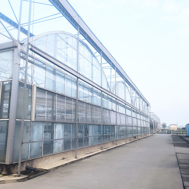 Moldeado de techo triangular comercial de múltiples tramos Gran túnel de vidrio Casa de flores de cultivo invernadero gótico