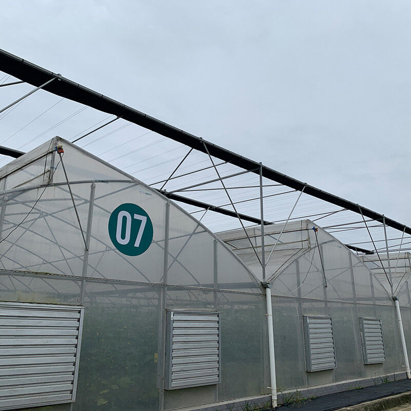 Venta de invernaderos de plástico con película UV poli túnel de dientes de sierra agrícolas de múltiples tramos