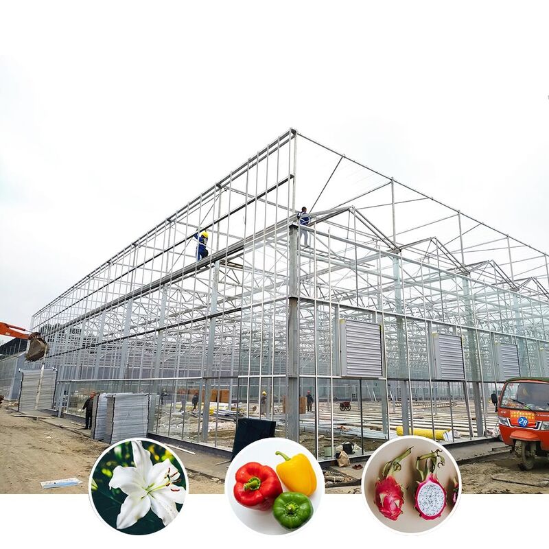 Invernadero agrícola de vidrio de estilo Venlo de múltiples tramos con techo triangular y ventilación lateral superior para la ventilación