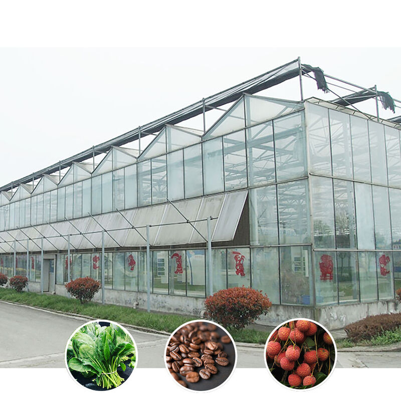 Solución agrícola para todo tipo de condiciones climáticas Estructura estable Invernadero con acero galvanizado y vidrio comercial