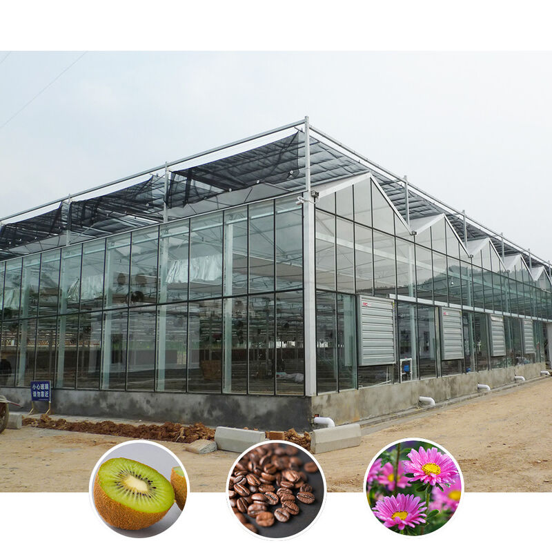 Invernadero agrícola de vidrio de estilo Venlo de múltiples tramos con techo triangular y ventilación lateral superior para la ventilación