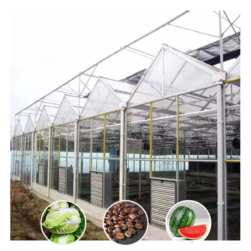 Invernadero de vidrio agrícola de tipo galvanizado de gran túnel para flores