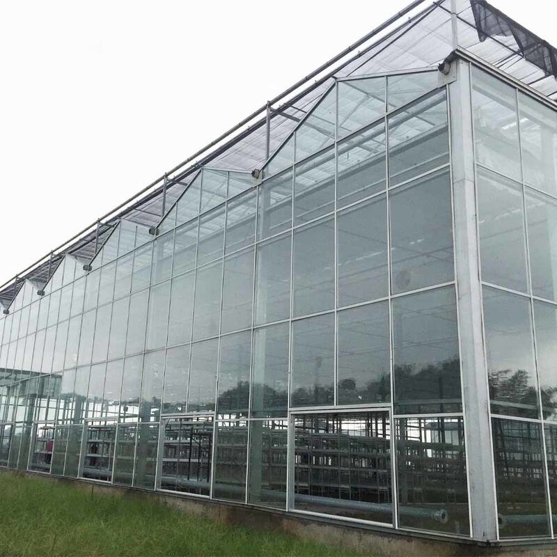 Invernadero agrícola de vidrio de estilo Venlo de múltiples tramos con techo triangular y ventilación lateral superior para la ventilación