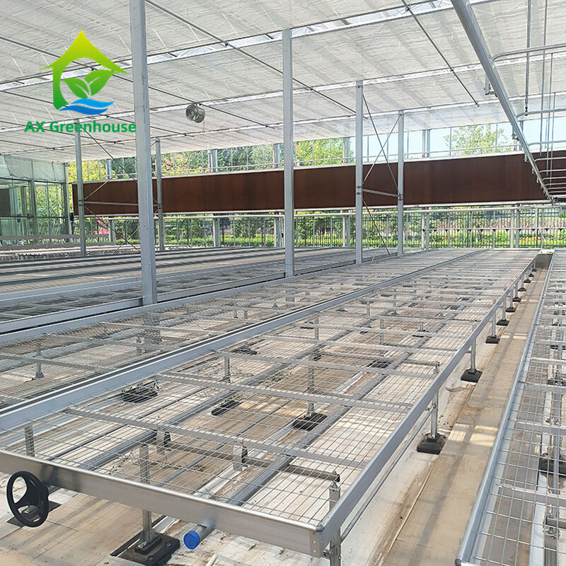 Mesa de cultivo rodante para invernadero personalizada con ventaja de fácil construcción y estructura de acero galvanizado en caliente