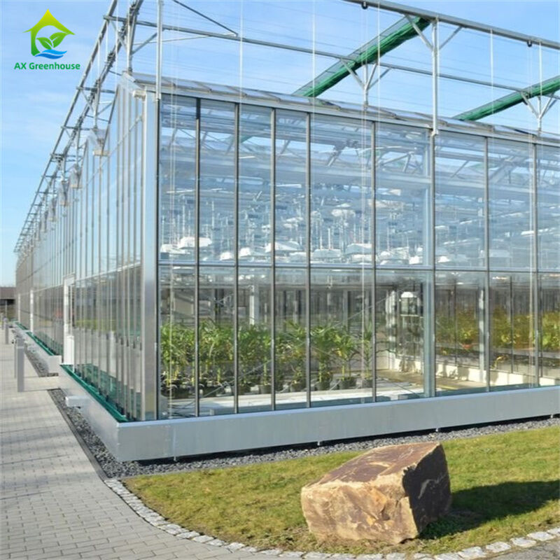 Equipo para el cultivo de fresas y hortalizas en invernadero de policarbonato y vidrio duradero - Kit de invernadero todo en uno