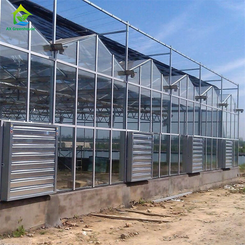Equipo para el cultivo de fresas y hortalizas en invernadero de policarbonato y vidrio duradero - Kit de invernadero todo en uno
