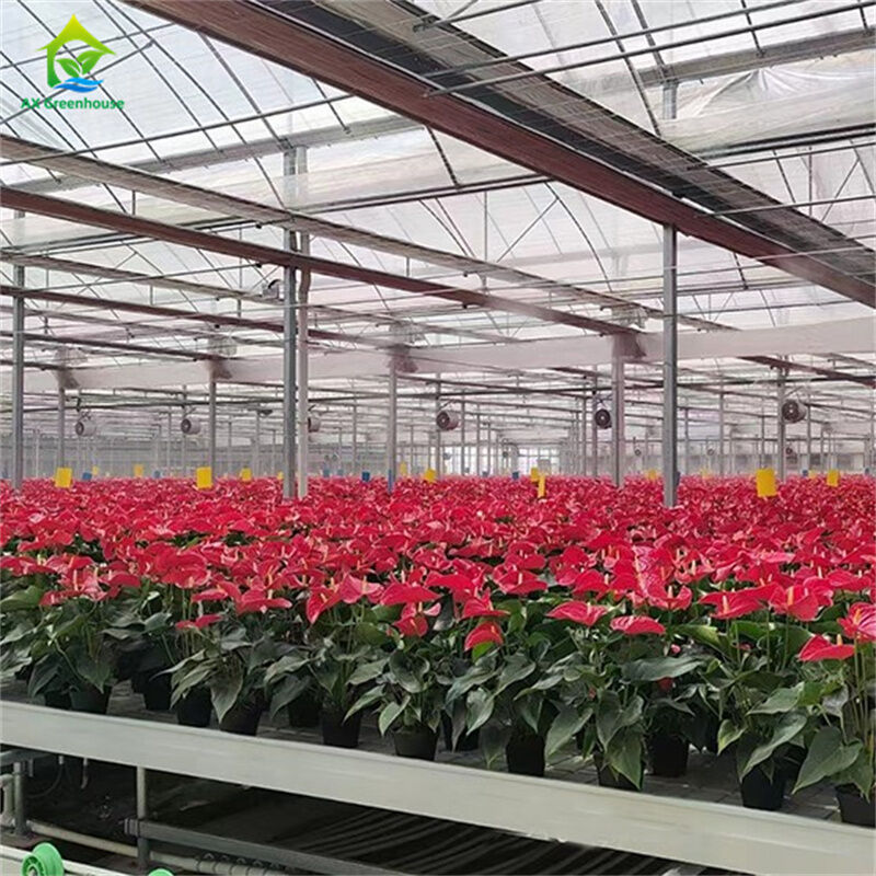 Invernadero inteligente de vidrio templado transparente verde, grande, de múltiples vanos, tubería de acero galvanizado en caliente, invernaderos agrícolas de vidrio para el cultivo de plantas y flores