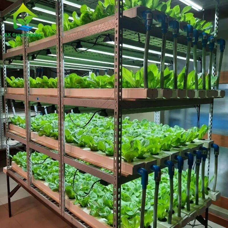 Sistema hidropónico vertical multicapa automatizado de NFT con iluminación LED integrada para cultivo sin suelo