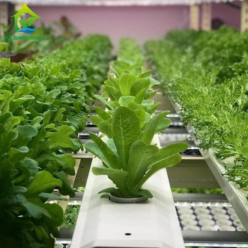 Sistema hidropónico vertical multicapa automatizado de NFT con iluminación LED integrada para cultivo sin suelo