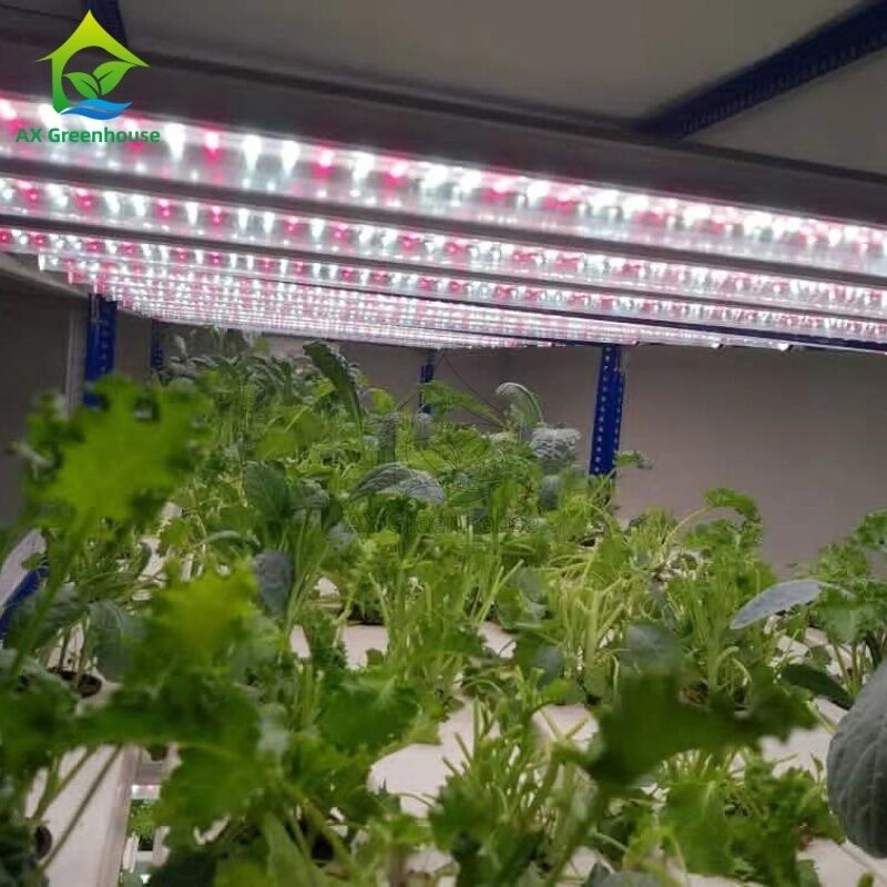 Sistema hidropónico vertical multicapa automatizado de NFT con iluminación LED integrada para cultivo sin suelo