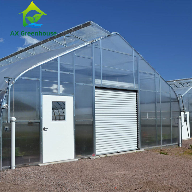 Invernadero versátil de policarbonato multicapa de una sola sección, ideal para hortalizas, plántulas, flores y agricultura en el patio trasero.